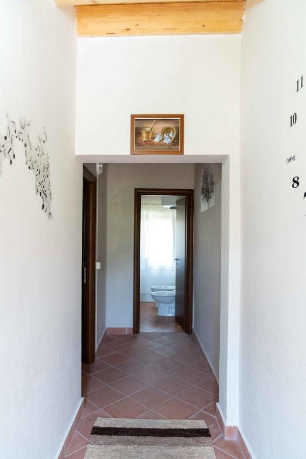 B&B Aria Antica Verbicaro Dış mekan fotoğraf